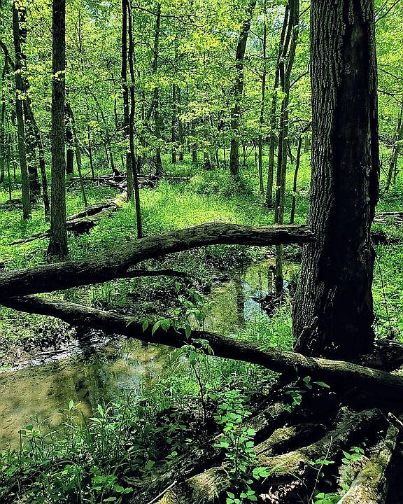 1st image of County Road 15 #2