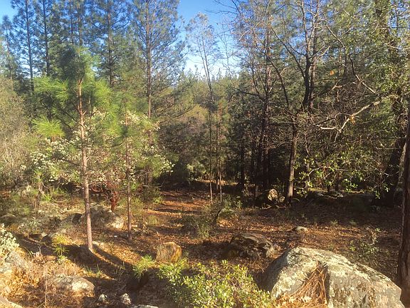 3rd image of 1346 Shady Tree Ln