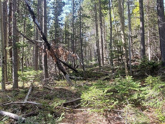 3rd image of Lot 3031 Bolwell Lane