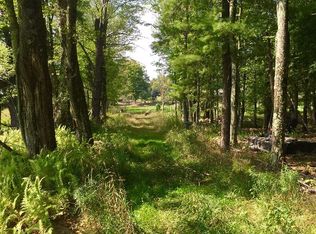 5 Smith Rd, Swan Lake, NY 12783