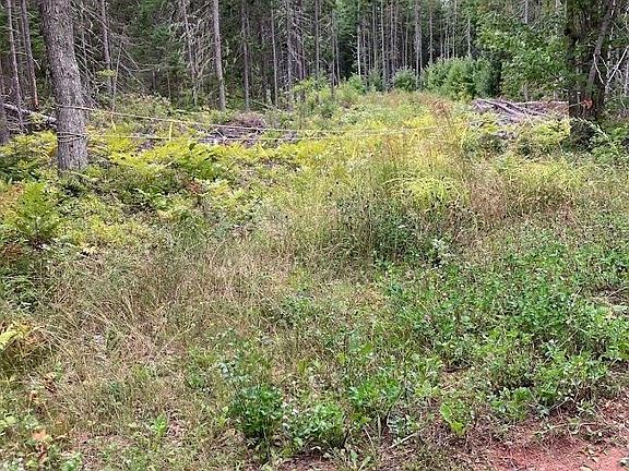 3rd image of LOT Farley Rd