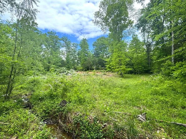 1936 Scotts Ridge Rd, Raywick, KY 40060