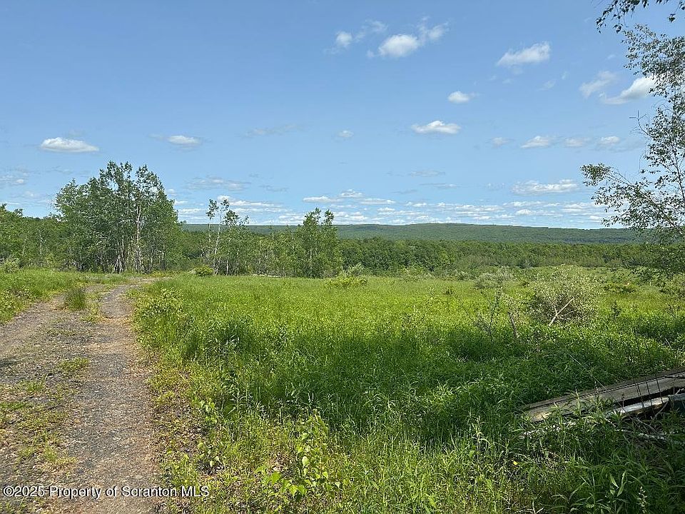 2nd image of Dundaff Street Sr #1007