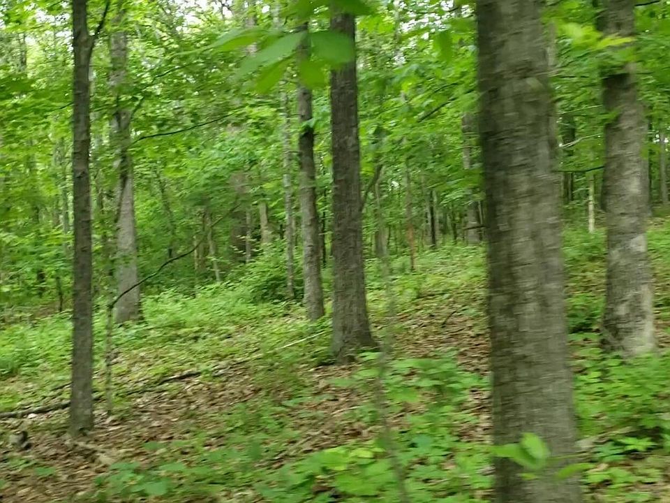 2nd image of 2560 Friendship School Rd