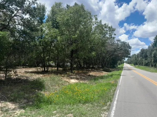 NE 105th Ave Lot 241, Bronson, FL 32621