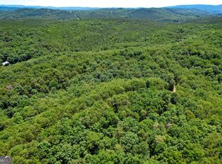 111 Acres Off, Fairmount, GA 30139