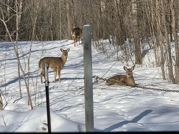 15057 Canyon Way, Pine City, MN 55063