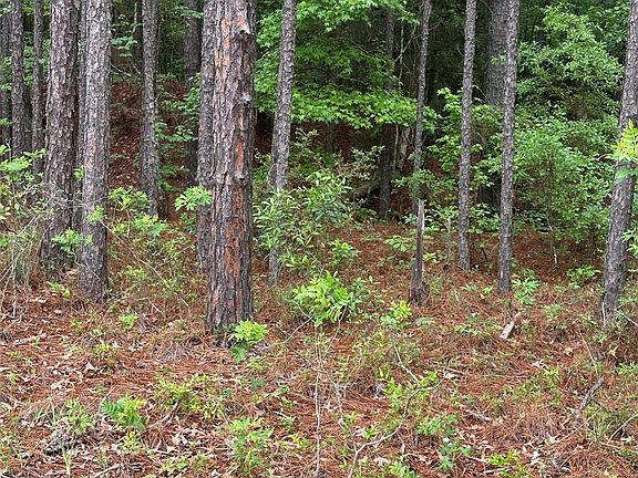 5th image of 0 County Road 77 Rd