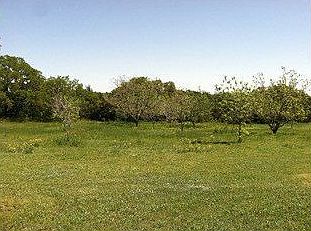 4th image of 7037 N Fm 1174