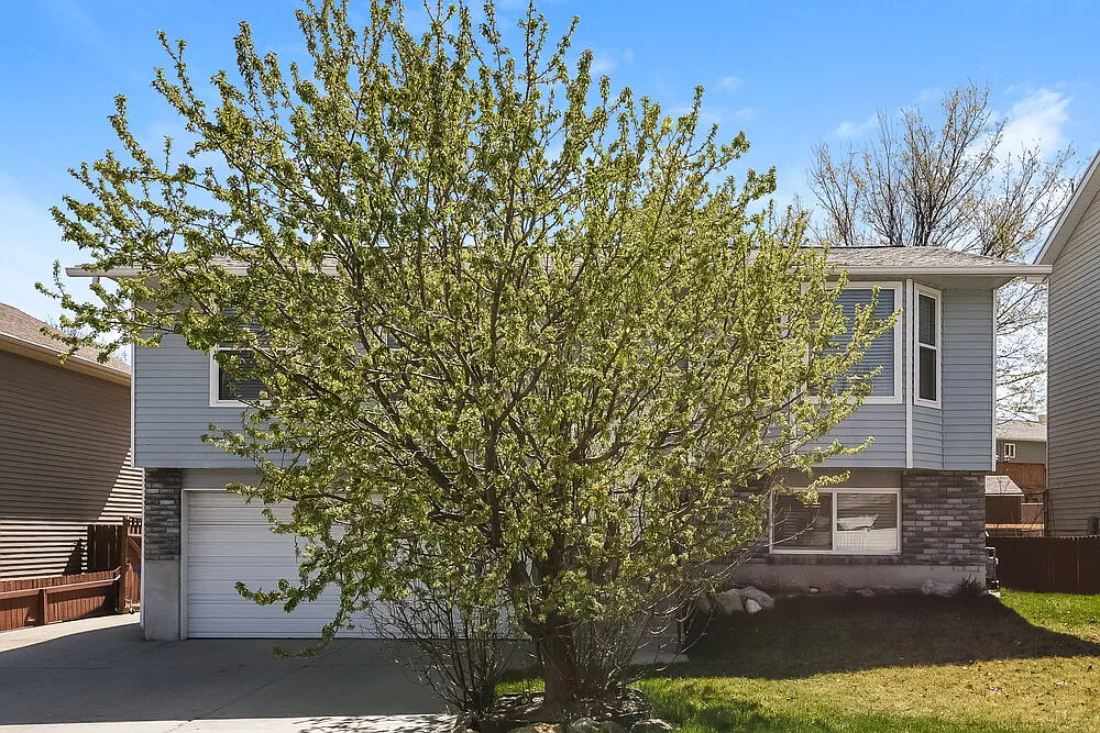 3 bed, 2.0 bath, 1507 sqft, $3,580 — Photo 4