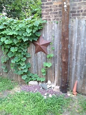 Rented by Highline Residential | media 119