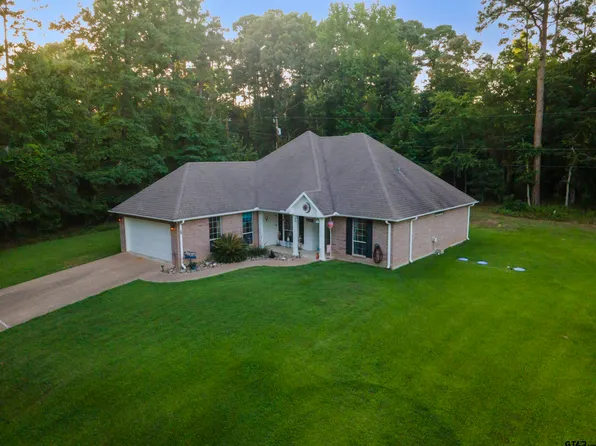 16980 Mary Martin Dr, Flint, TX 75762