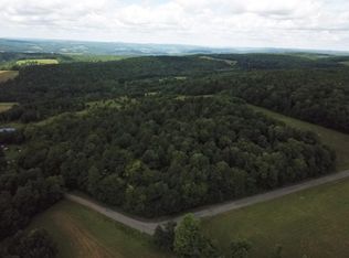 103 Holl Rd, New Berlin, NY 13411