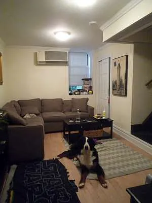 Rented by New York City Apartments | media 34