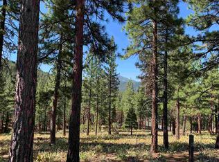 169 S Ridge Rd, Portola, CA 96122