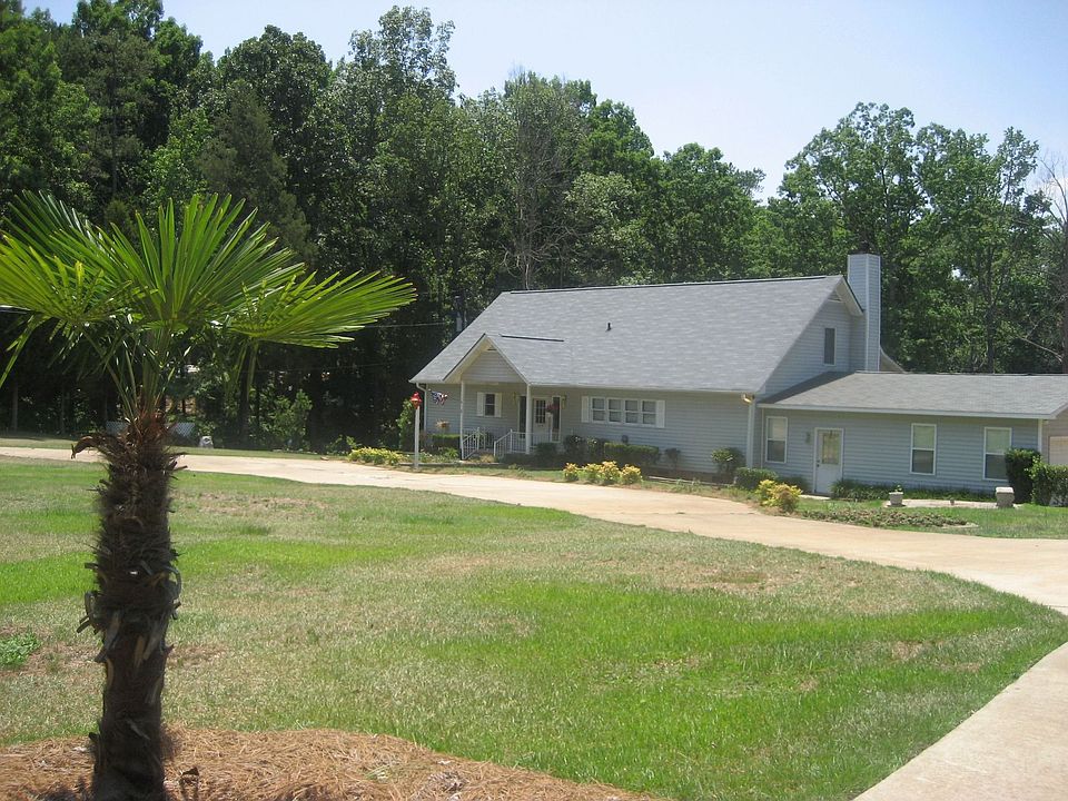 Palm tree- circular driveway