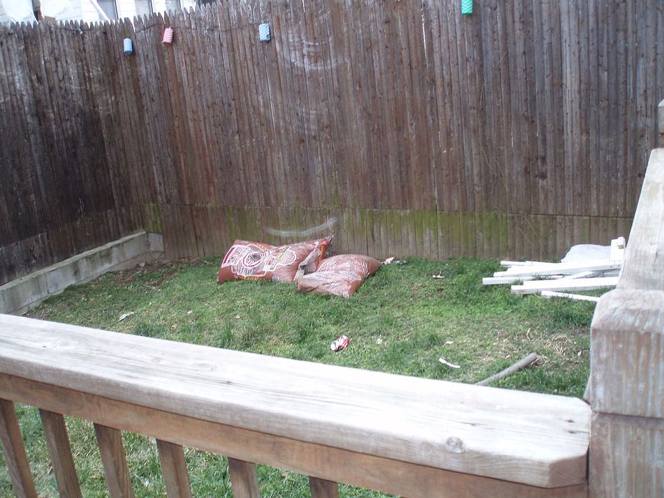 Rear Deck & Yard