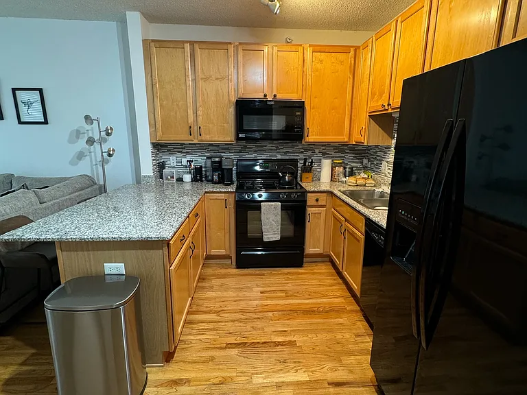 1717 S Prairie Ave #907 — Photo 11
