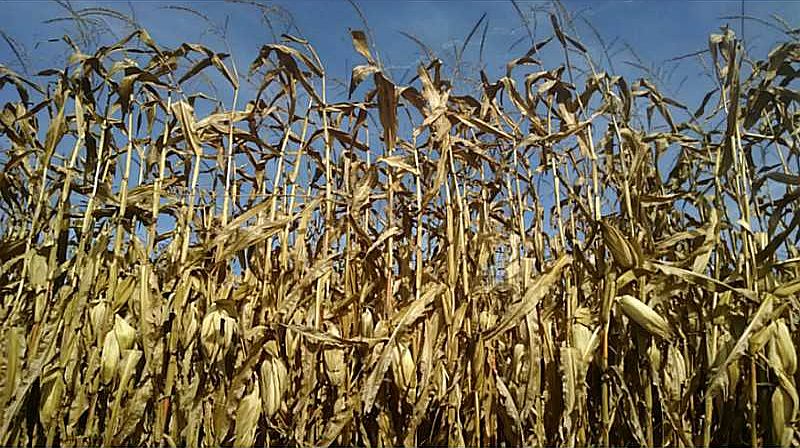 1st image of 4689 Old Troy Pike