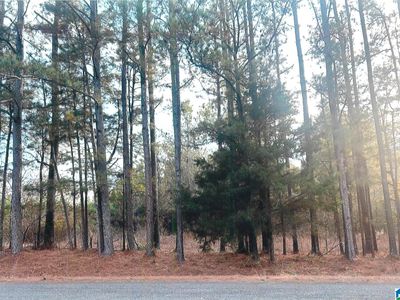 0 Cove Access Rd #0, Talladega, AL, 35160