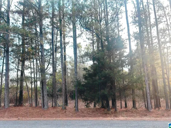 0 Cove Access Rd #0, Talladega, AL 35160