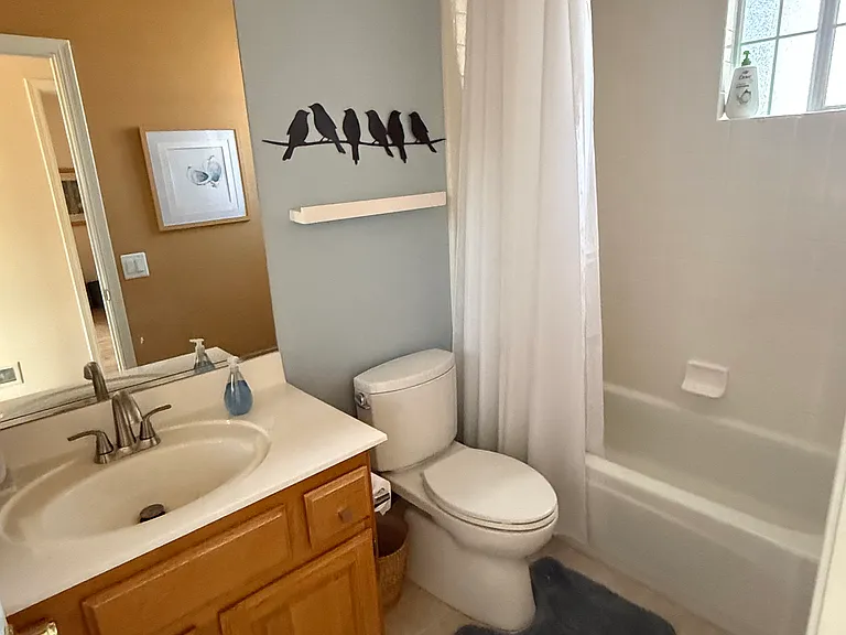 Guest bathroom