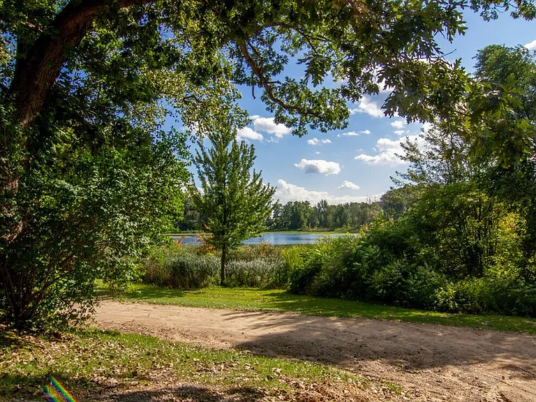 Woods at Countryside Crossing