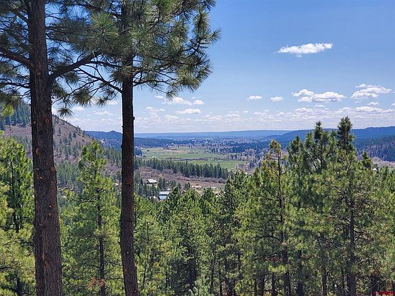 4th image of 850 Deer Ridge