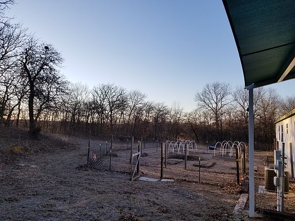 Backyard Garden