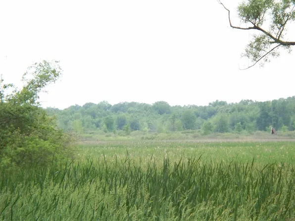 Dew Rd, Horton, MI 49246