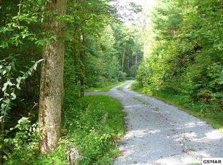 Paradise Falls Way, Sevierville, TN 37862