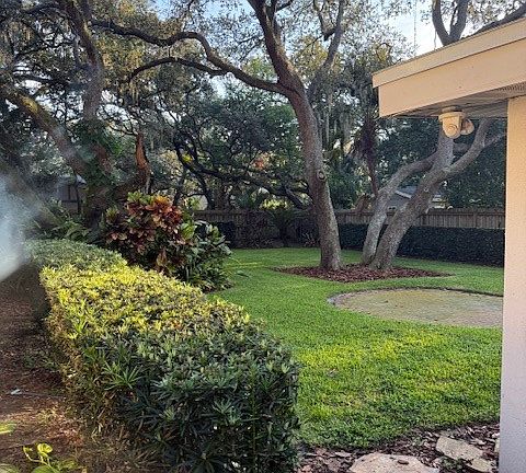 backyard / side