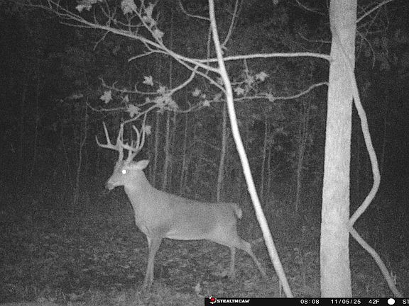 2nd image of 0 Jones Mill Crossland Rd