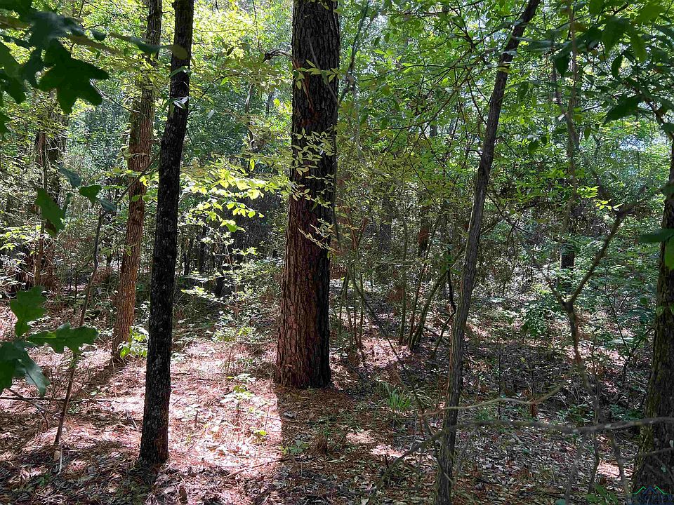 2nd image of County Road 182