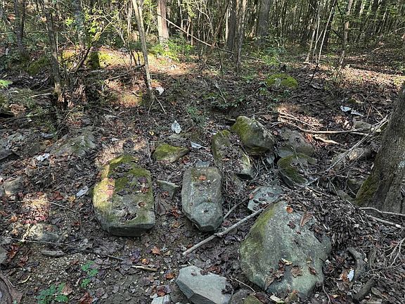 2nd image of 1028 Goddard Rd