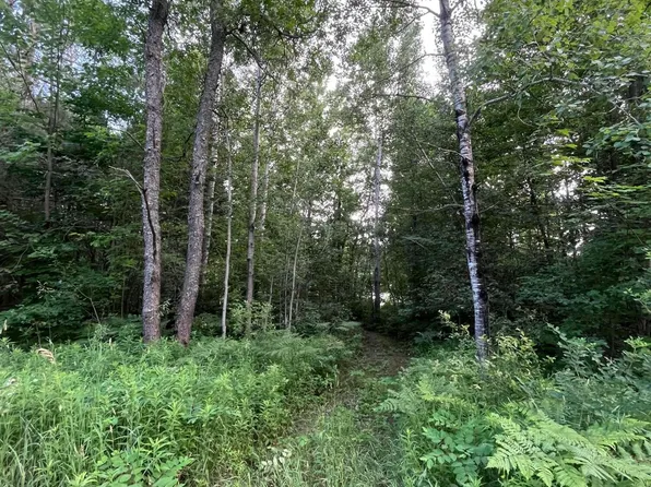 LOT 251 Sunridge Dr, Elmira, MI 49730