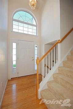 Bright Foyer with Lots of Natural Light
