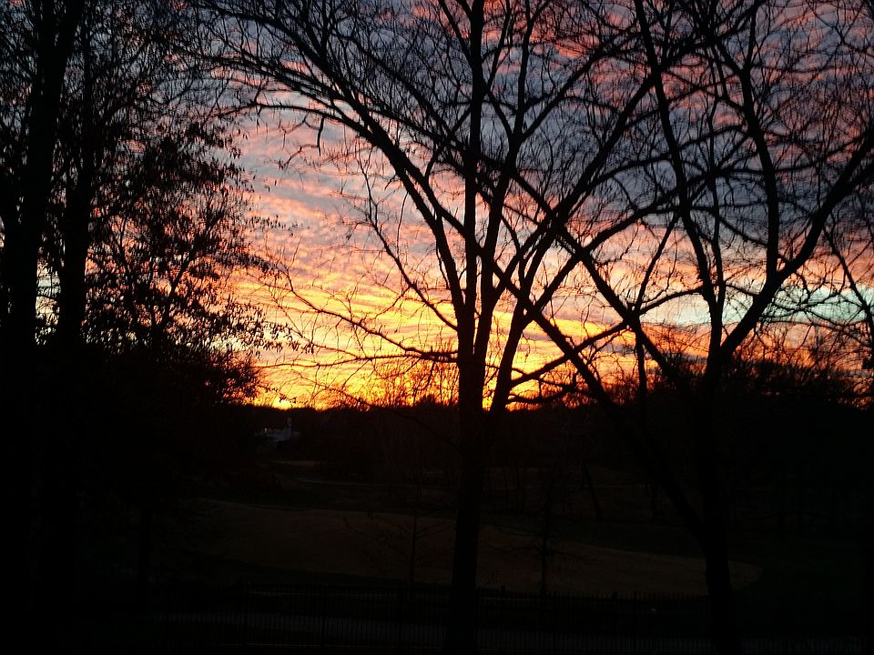 Great sunset 