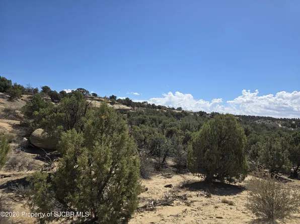 LOT 6 Road 2777, Aztec, NM 87410