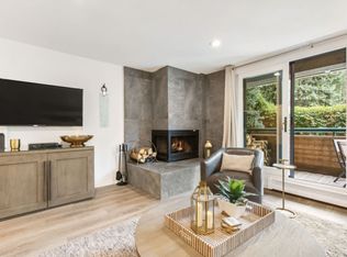 1024 E Hopkins Ave FLOOR 1-ID1021504P, Aspen, CO 81611