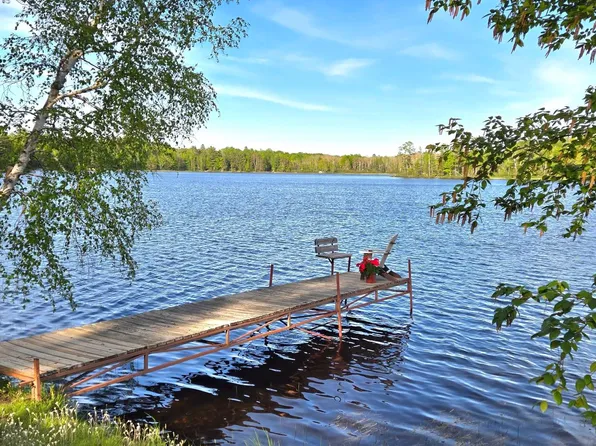 11008 Sunny Shores Rd, Presque Isle, WI 54557