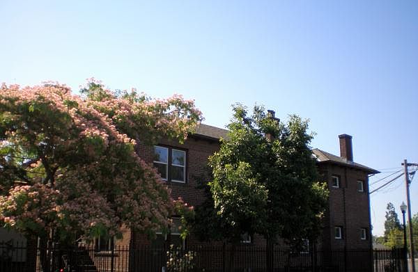 Side of Building