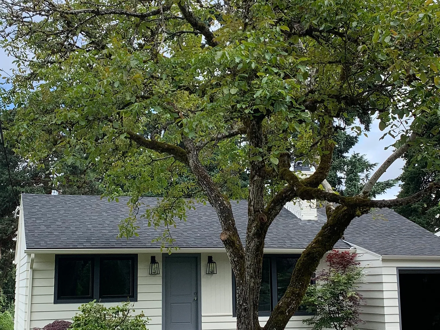 1247 Cedar St — Photo 2