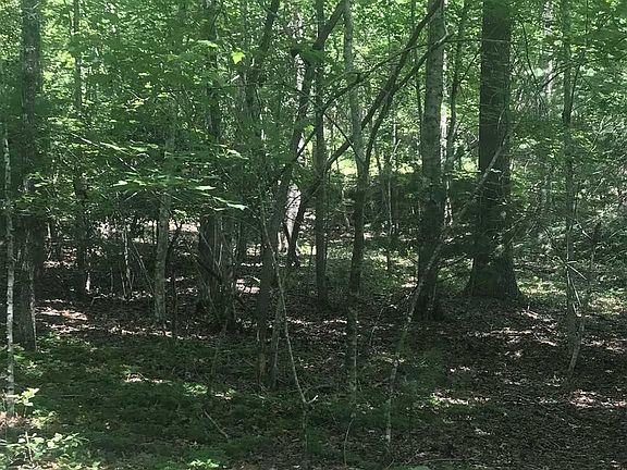 4th image of 26 Ivy Log Ests