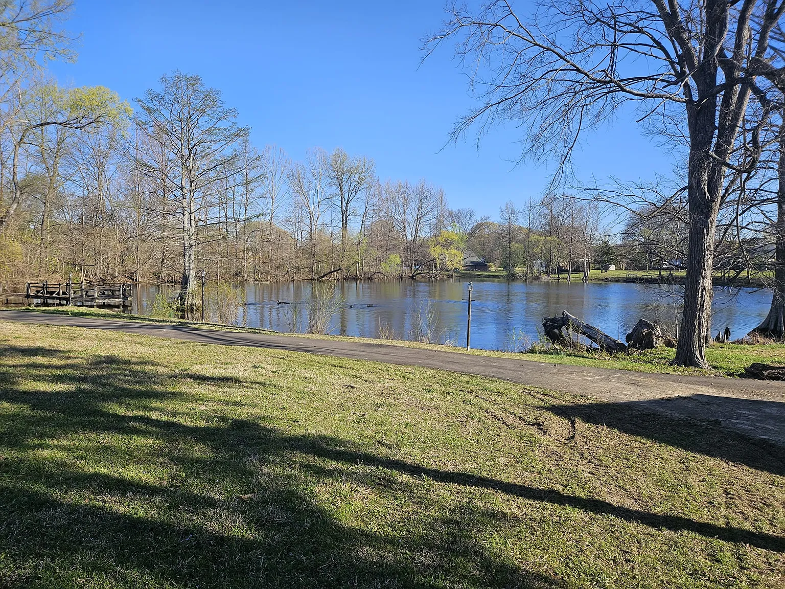 10 bed, 3704 sqft, $12,495 — Photo 4