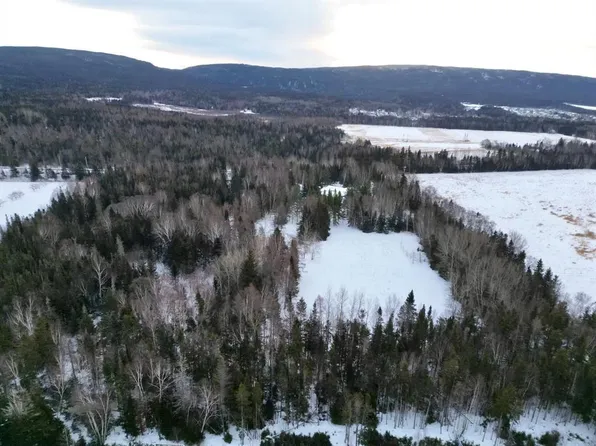 97 C Main Street, Pasadena, NL a0L1K0