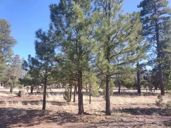 4648 Stargazer Dr, Happy Jack, AZ 86024