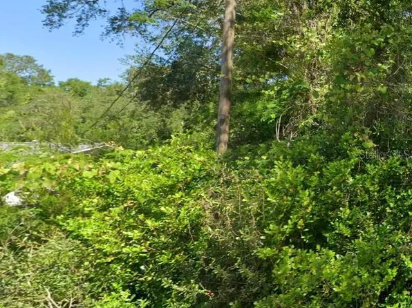 19667 FLAMINGO DRIVE LOT 13, DUNNELLON, FL 34431