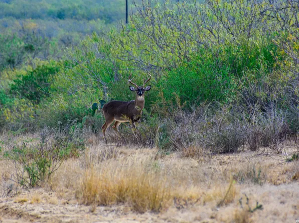 000 Easement Road, Laredo, TX 78045