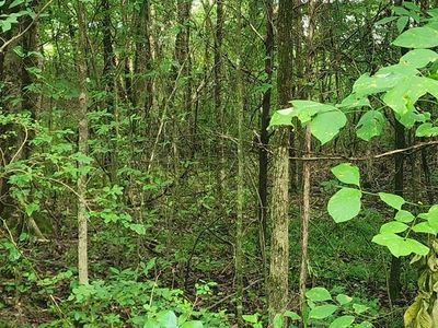 0 Shady Ln, Big Sandy, TN, 38221